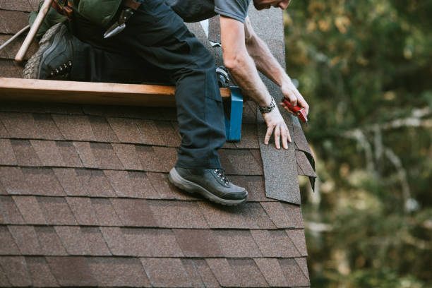 Best Roof Maintenance Services  in Wildwood, MO